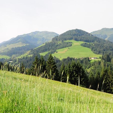 Vorderaltensberg Διαμέρισμα Auffach Εξωτερικό φωτογραφία