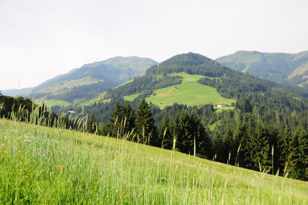 Vorderaltensberg Διαμέρισμα Auffach Εξωτερικό φωτογραφία